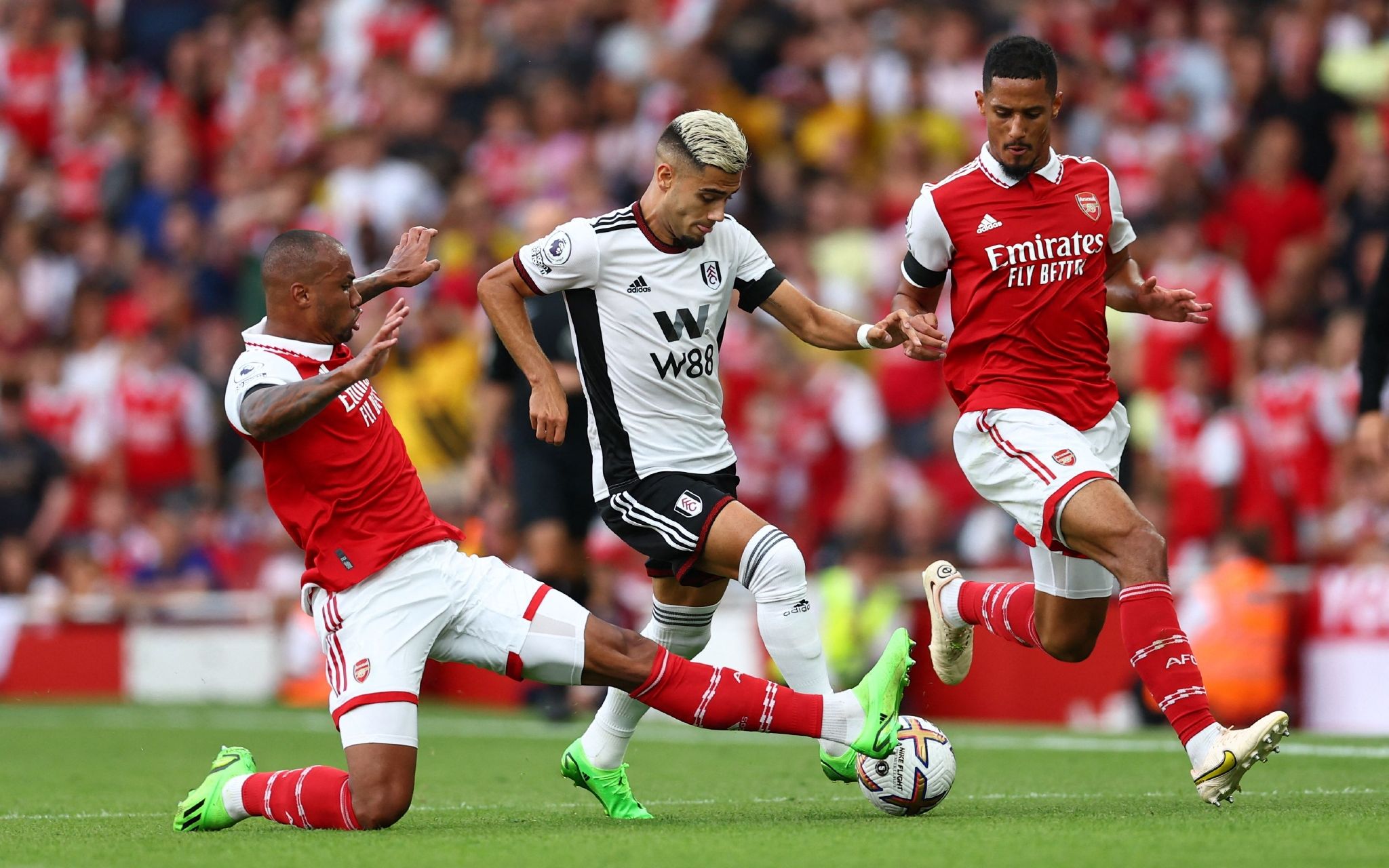 手的禁区 手的禁区